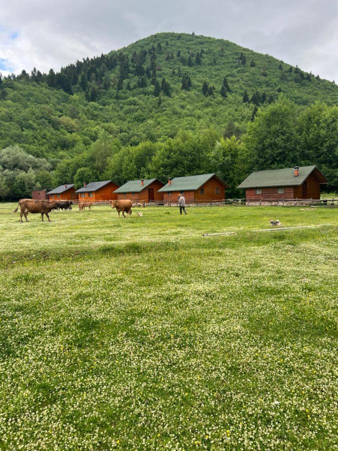 Hotel Farma Sotira Leskovik Esterno foto